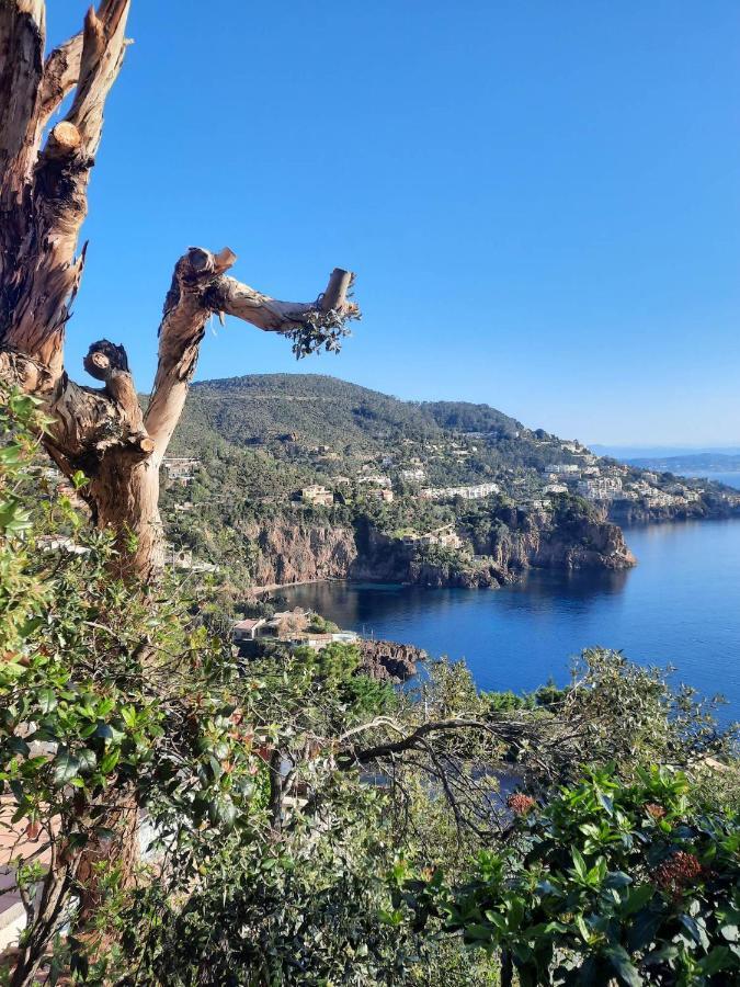 Magic Mer Saint-Raphael (Var) Exterior foto
